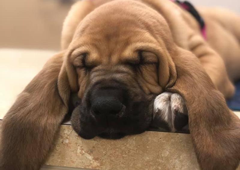 Carousel Slide 3: Learn more about our practice!